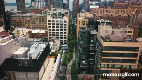 High Line - Brand Video